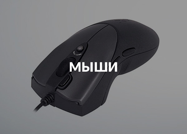Мыши